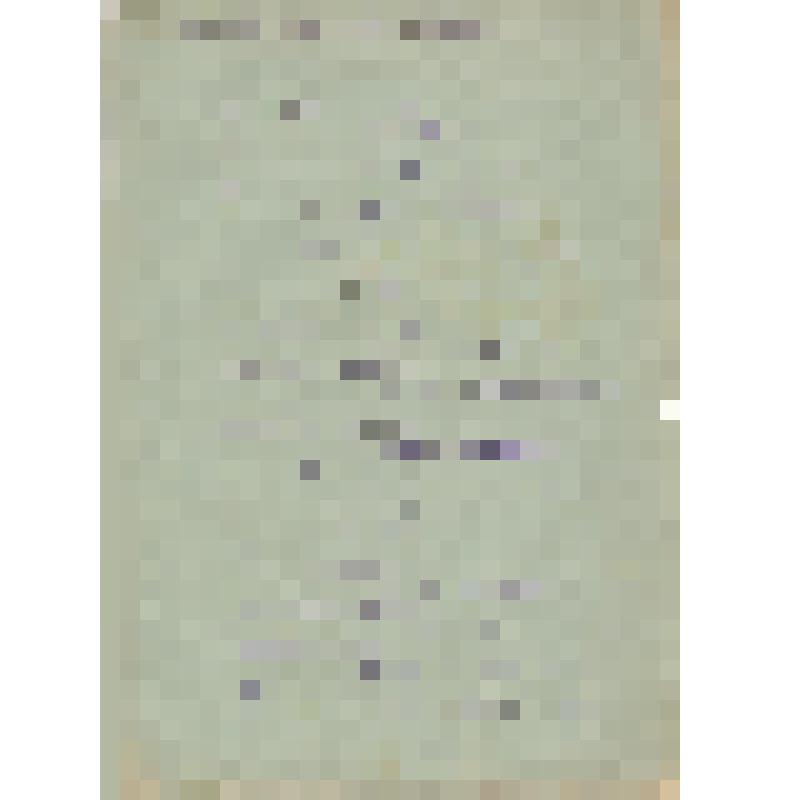 Стих "Партизанская" Автор: Афанасьев П.П. г. Обоянь  1918 (?) г