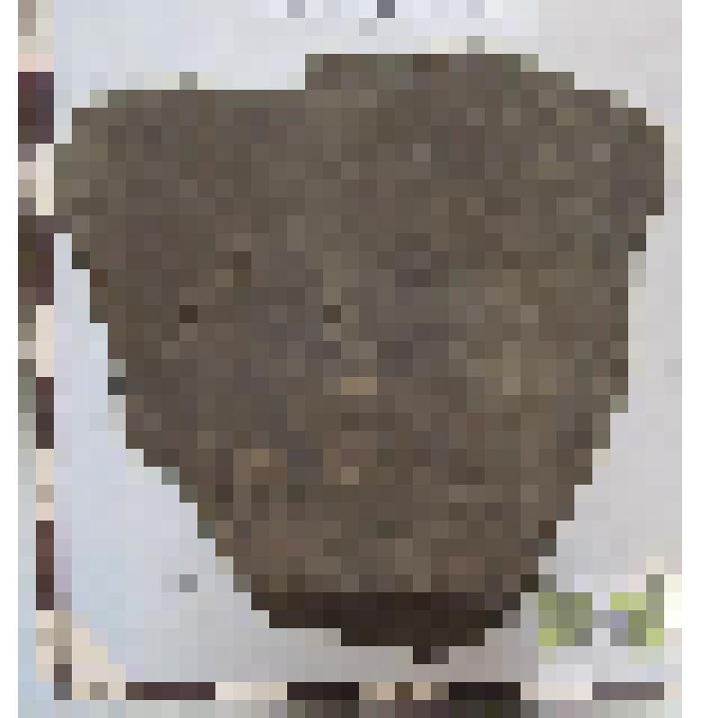 Дна сосуда серого цвета фрагмент