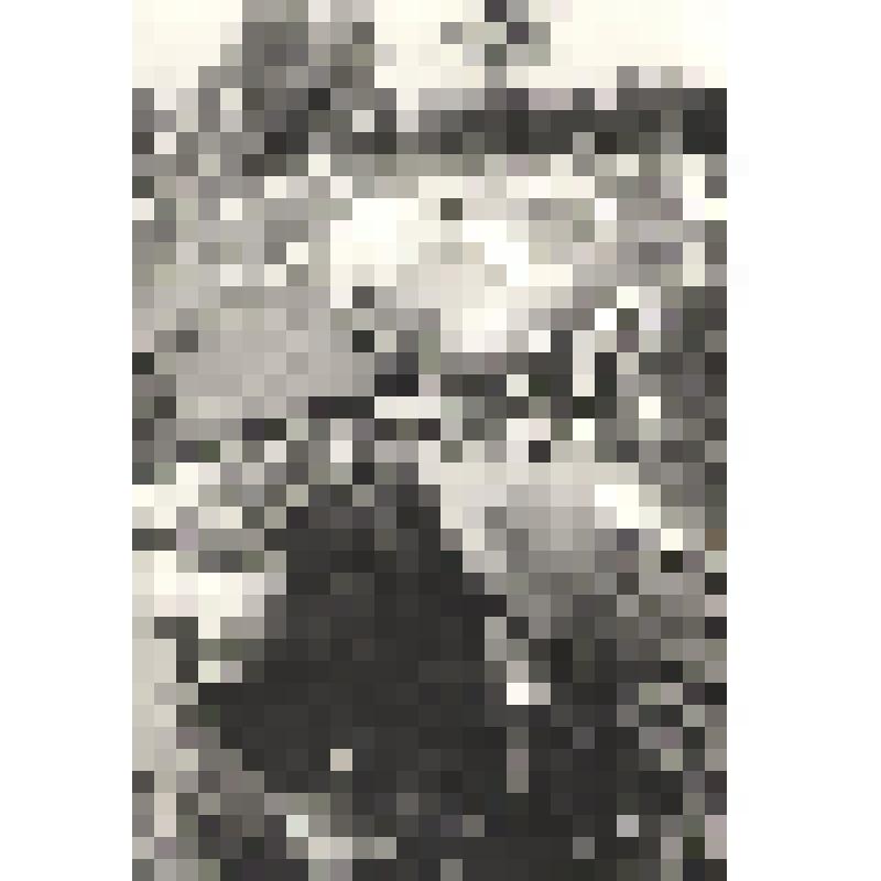 Фотонегатив "Елена Ковальчук - санинструктор 175 гвардейского мотострелкового полка I-й гвардейской Московской мотострелковой дивизии."