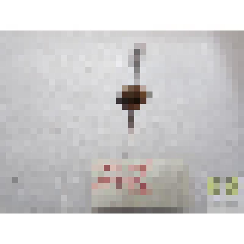 Коровка пятиточечная (Coccinella guadritpunctata L.)