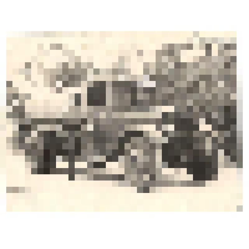 Фотография. Истомин Евгений Петрович, участник Великой Отечественной войны 01.08.1946