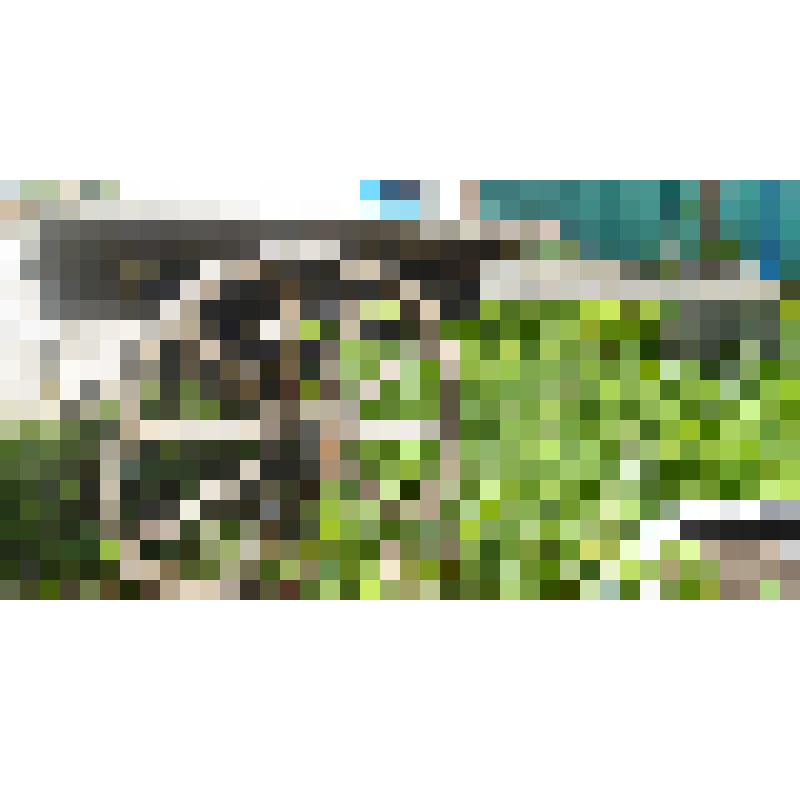 Телега с оглоблями