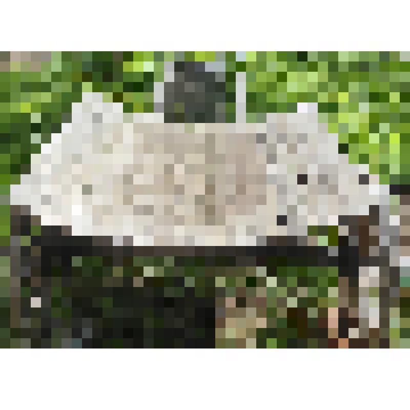 Телега с оглоблями