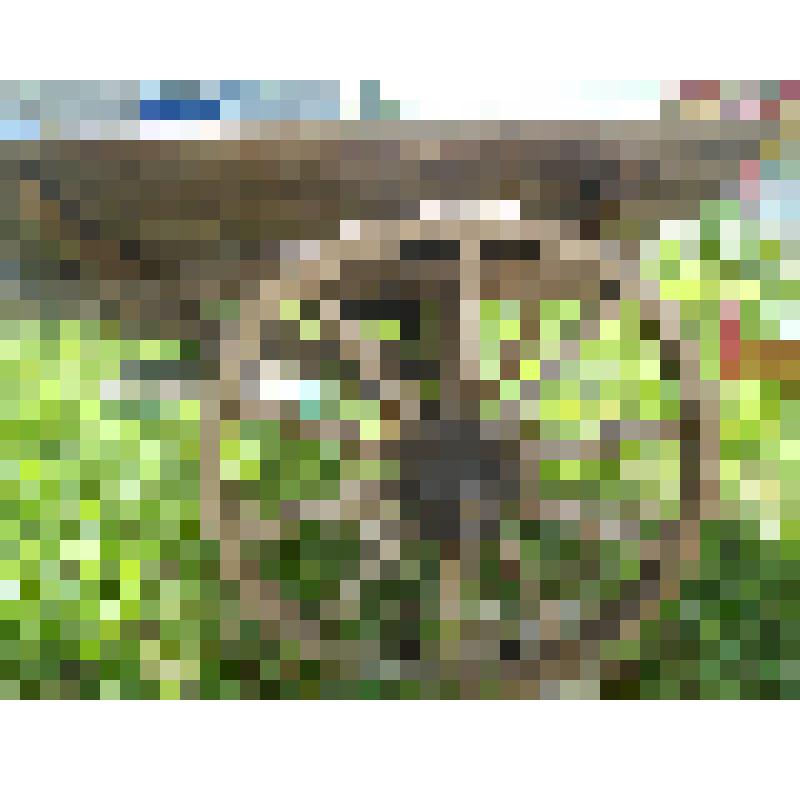 Телега с оглоблями