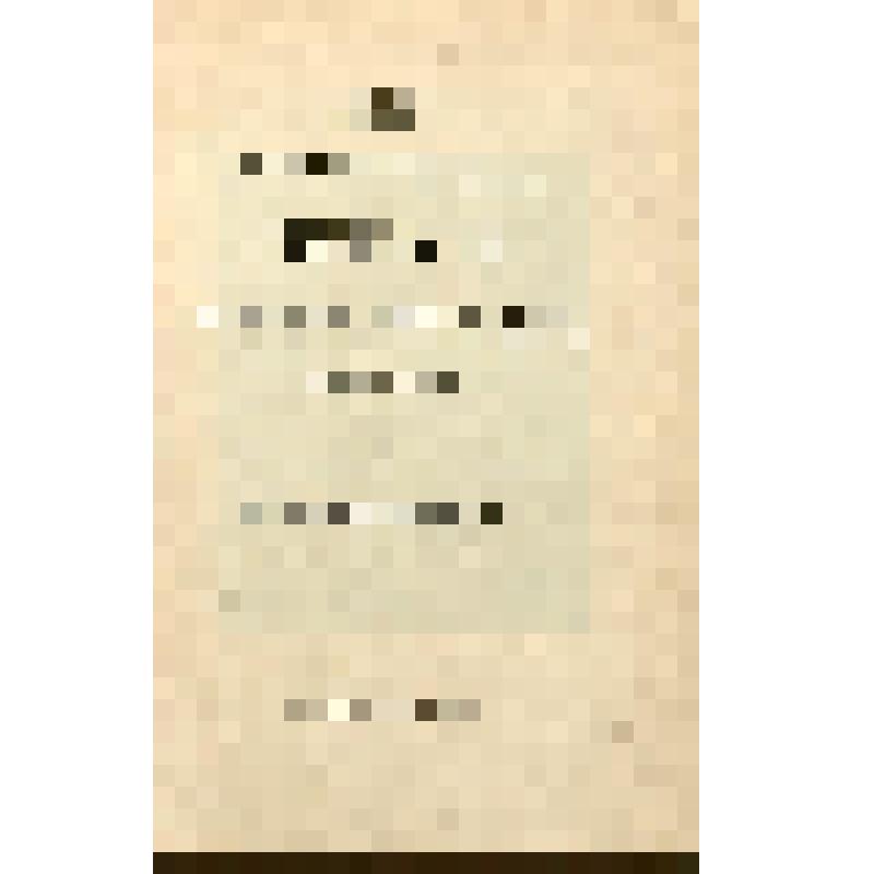 Книга. Житие преподобного отца нашего Дионисия, архимандрита Сергиевой лавры, Радонежского чудотворца : Переведено со славянского в Свято-Троицкой Сергиевой лавре