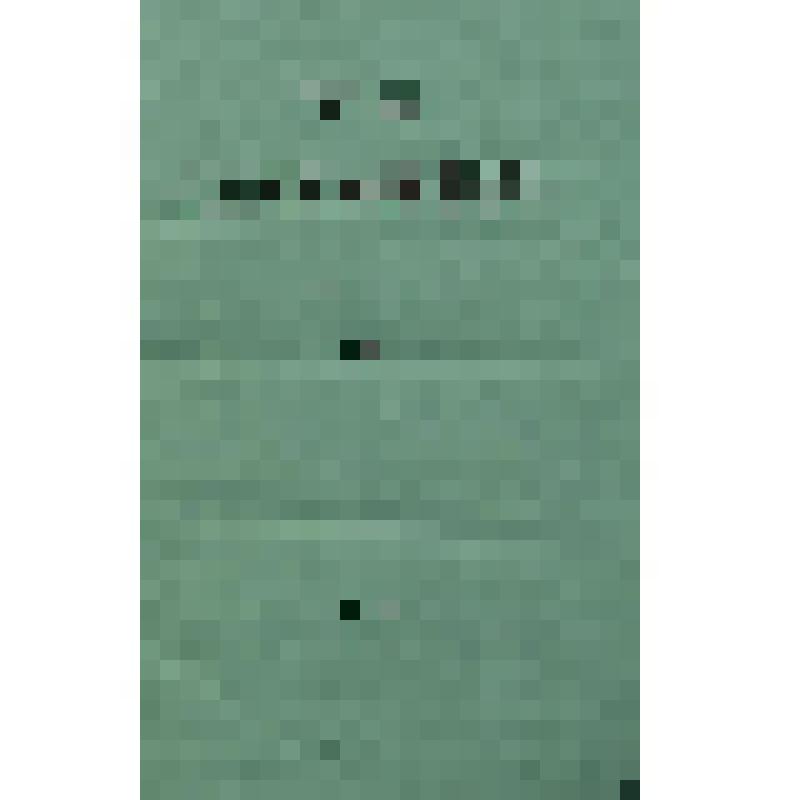 Книга. Творения Блаженного Августина, епископа Иппонийского. Труды Киевской духовной академии