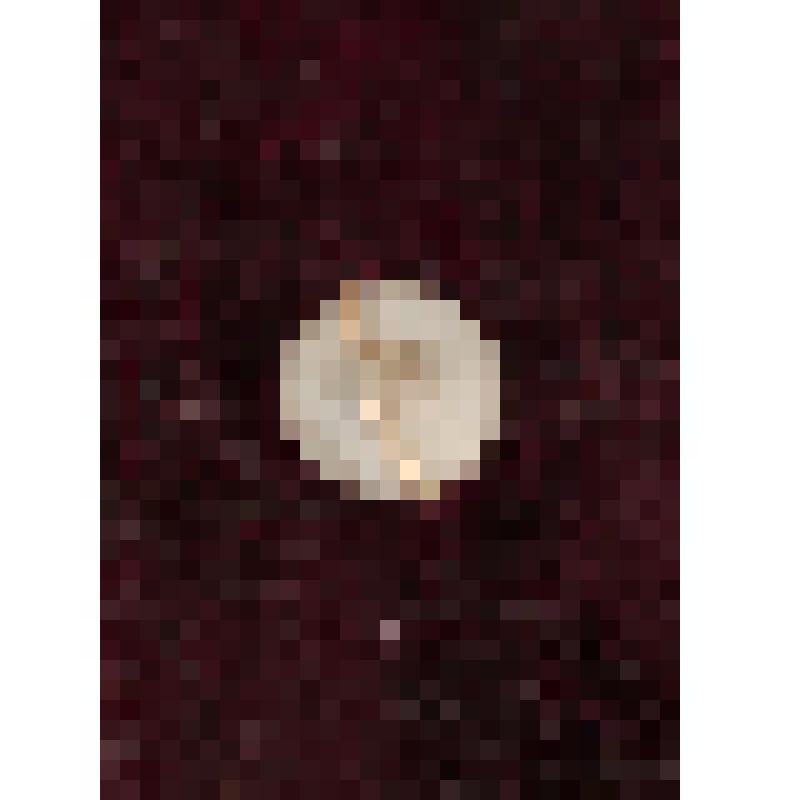 Коробка с костяными бирюльками: чернильница