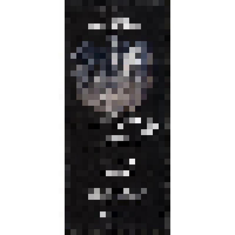 Программа художественная. "Лебединое озеро". Москва, Государственный академический Большой театр России (ГАБТ)