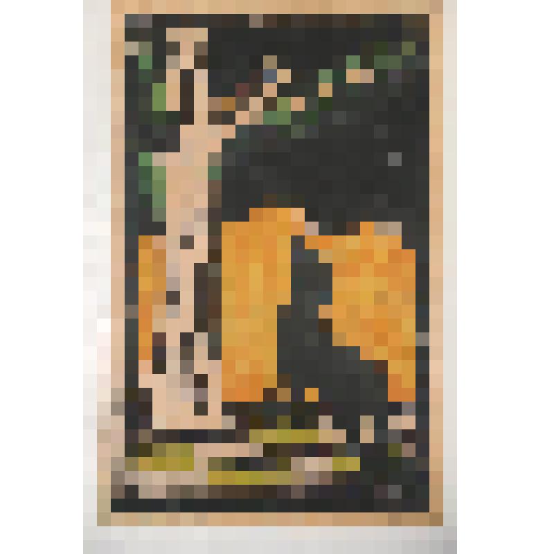 Гравюра. Из цикла работ учеников художественно-ремесленной школы-колонии во Введенском. Лиса и ворона. 1920 г