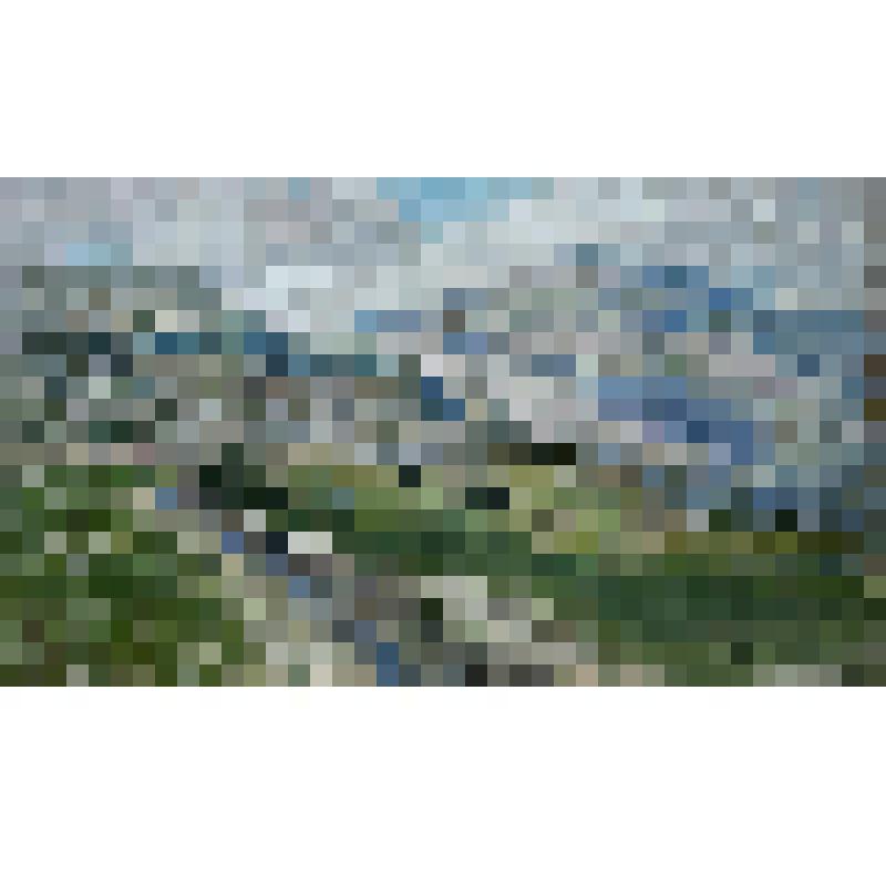 Холмы Палестины