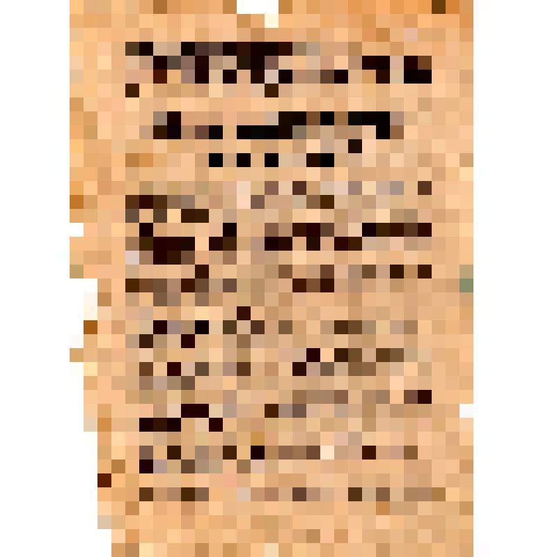 Орловские партизаны. Главному предателю, фашистскому холую, сиятельному палачу русского народа, шлюхе гитлеровского притона, кавалеру орденов в мечах и осинового кола Обер-бургомистру Каминскому