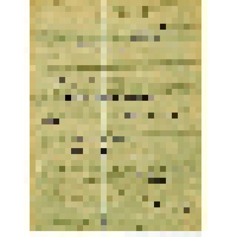 Агропаспорт участника ВСХВ колхоза им. Плясункова