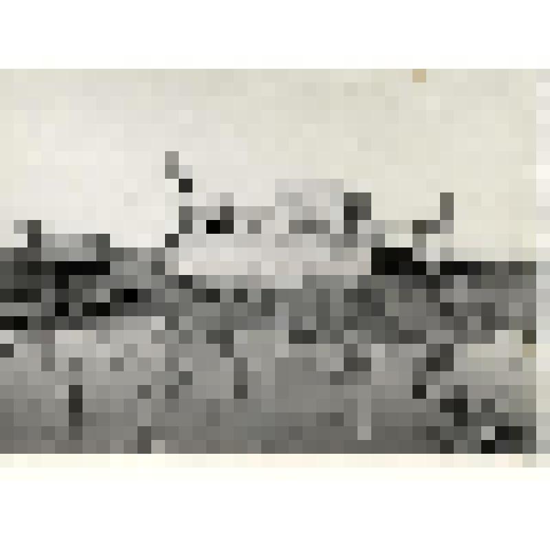 "Драга-187, 1970 год". Фотография черно-белая