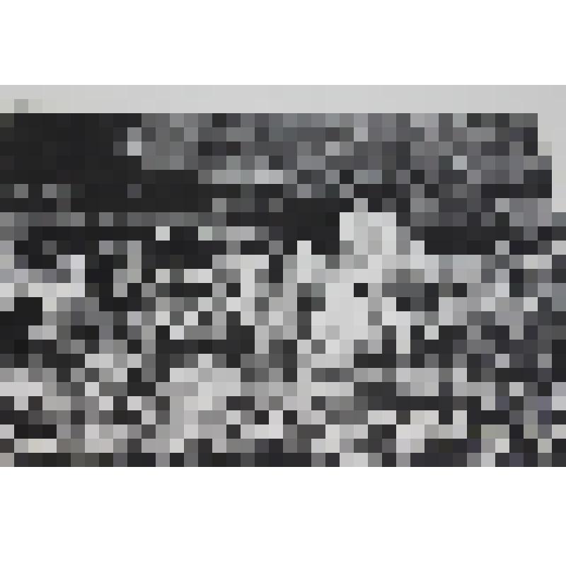 Линогравюра "Неохотно и несмело солнце смотрит на поля..."