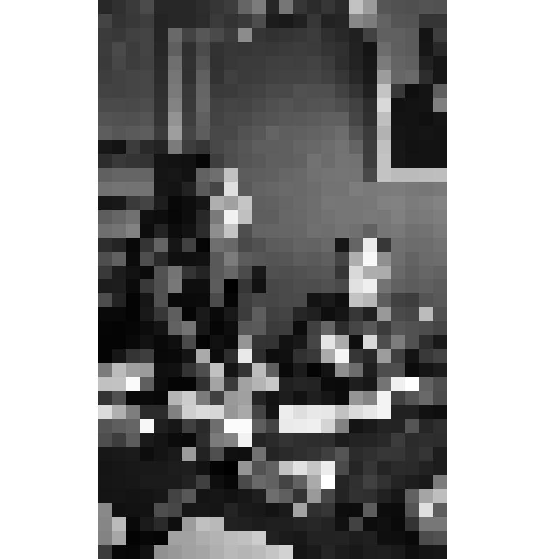 Фотонегатив. Космонавт Горбатко Виктор Васильевич в Волгодонске