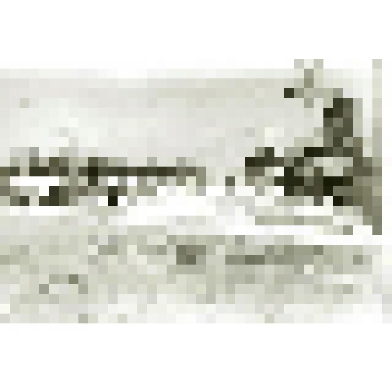 Фотография чёрно-белая. Улица имени Губкина