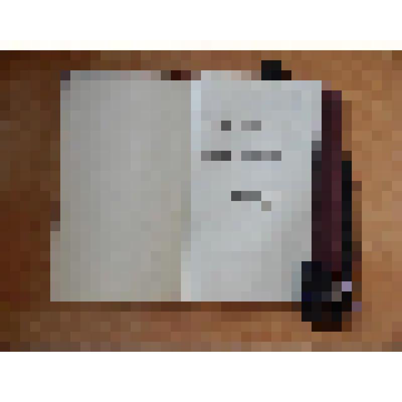 Бахрушин А.А. Записная книжка "Городской Народный Дом на Введенской площади" (сметы, состав труппы, репертуар)