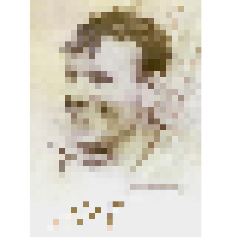 Фотооткрытка. Гагарин Ю.А