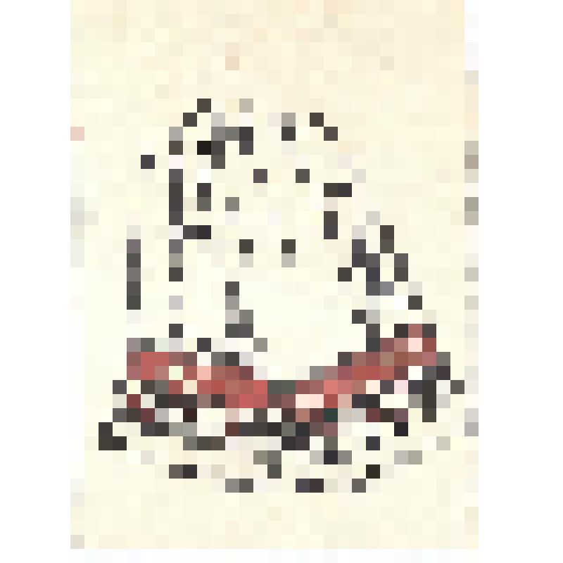 Зарисовка перчаток. Из альбома "Модели одежды и дополнения к ним в характере народного искусства из оленьих шкур, камуса и замши"