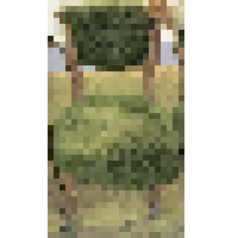 Стул из гарнитура