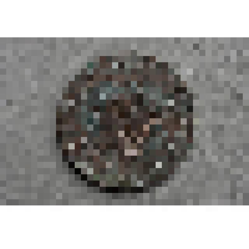 Монета. 1 копѣйка