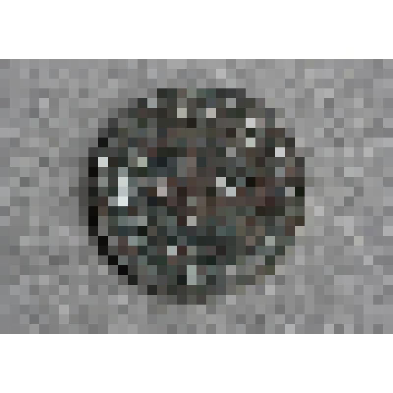 Монета. 1 копѣйка