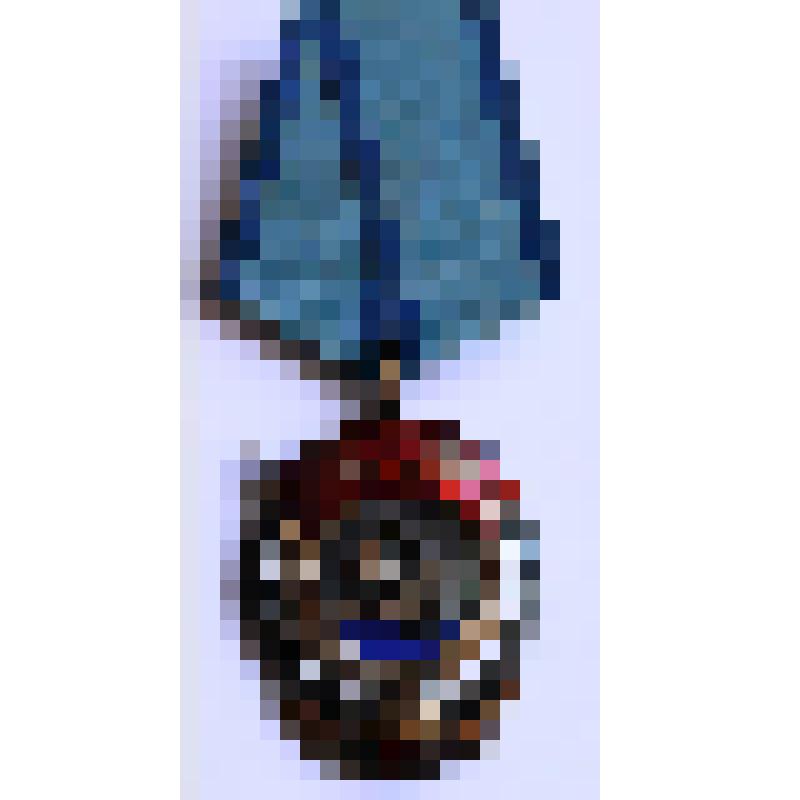 Орден "Трудового красного знамени" №281132, Алксандрова