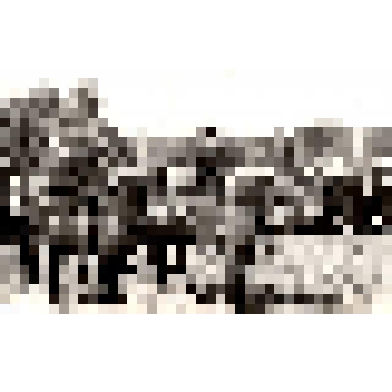 Фото. «Сабантуй – 88», участники конных скачек