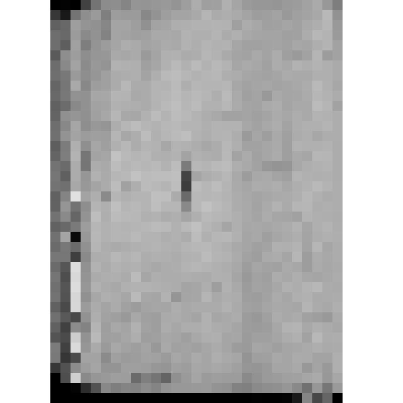 КОПИЯ РАПОРТА