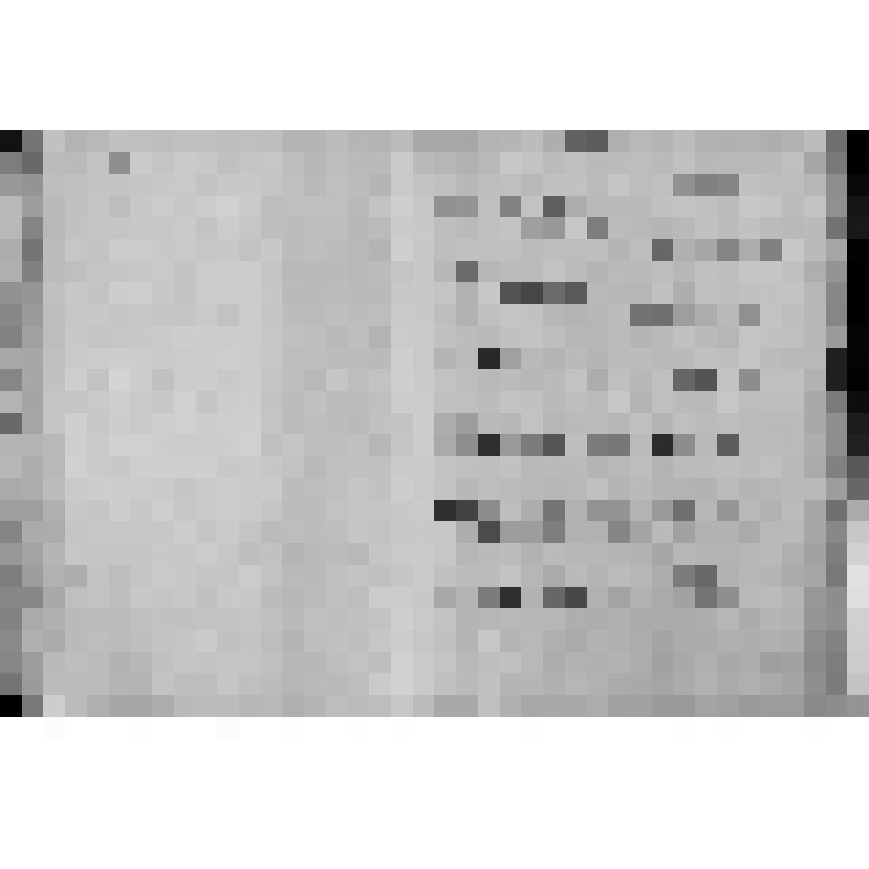 КОПИЯ РАПОРТА