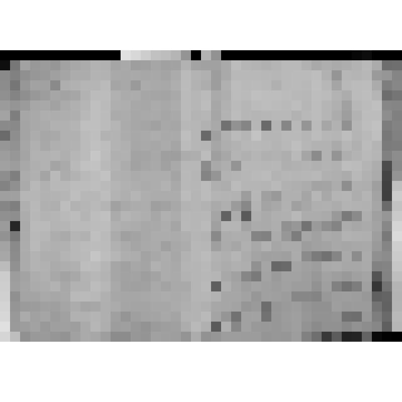 КОПИЯ РАПОРТА