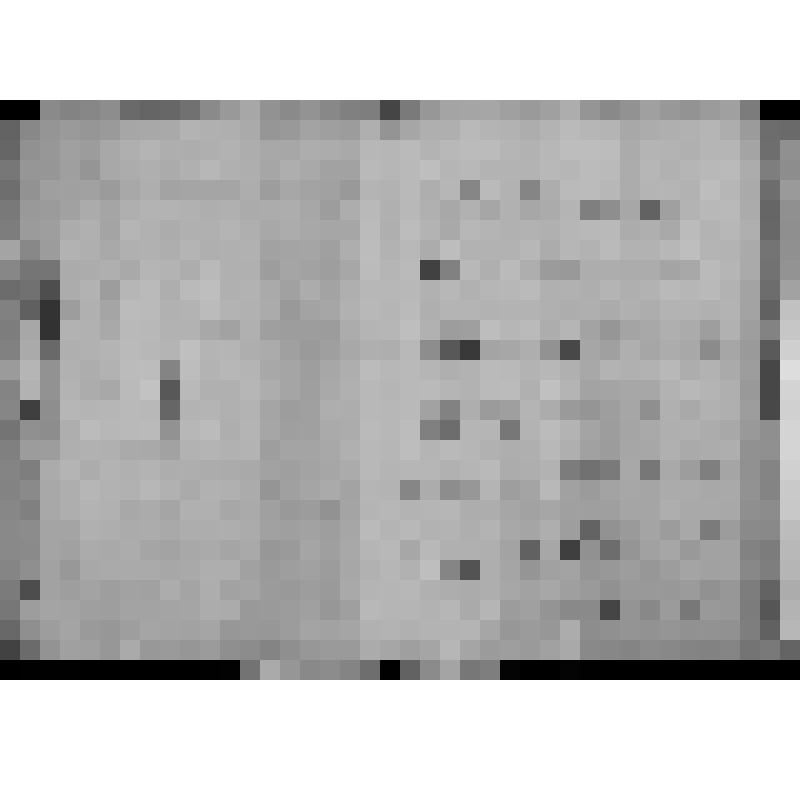 КОПИЯ РАПОРТА