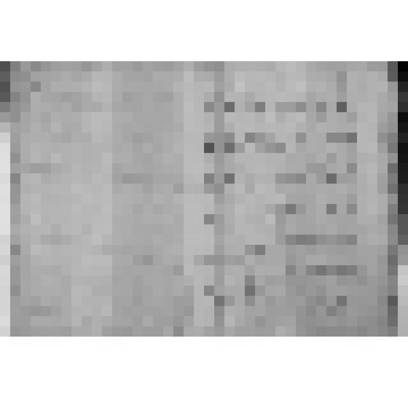 КОПИЯ РАПОРТА