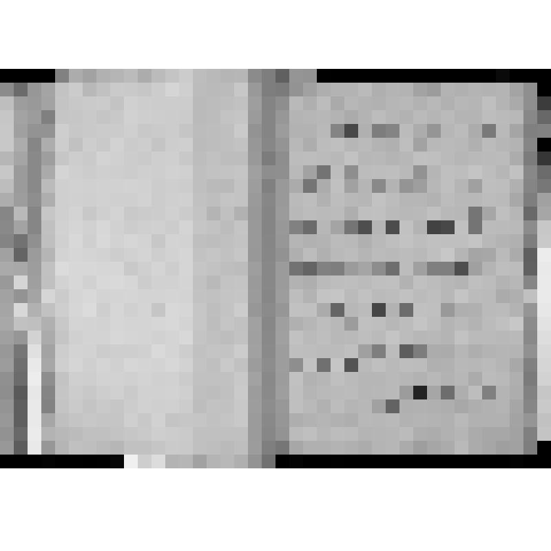 КОПИЯ РАПОРТА