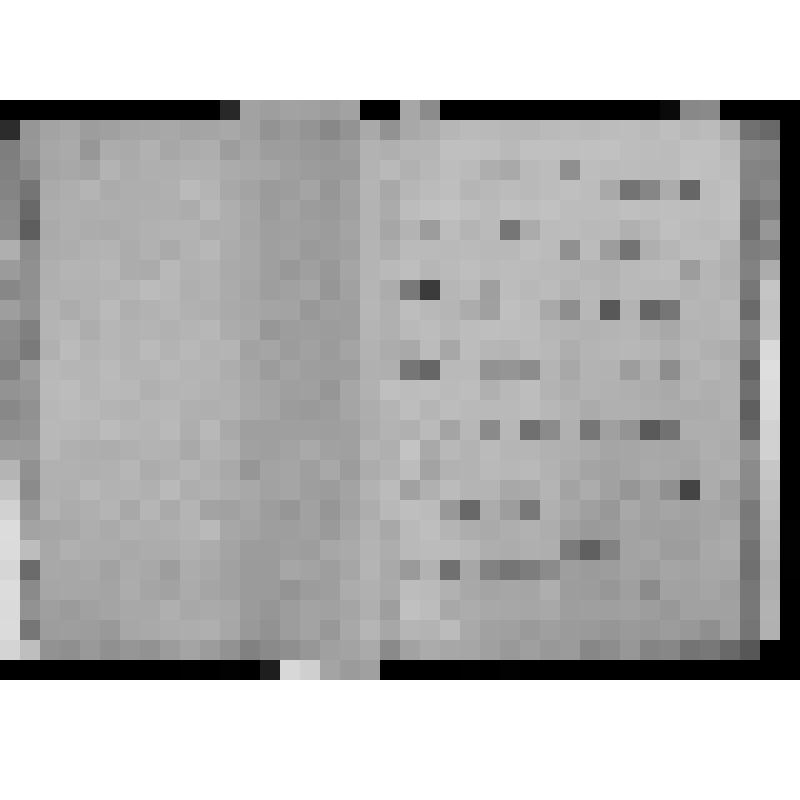 КОПИЯ РАПОРТА