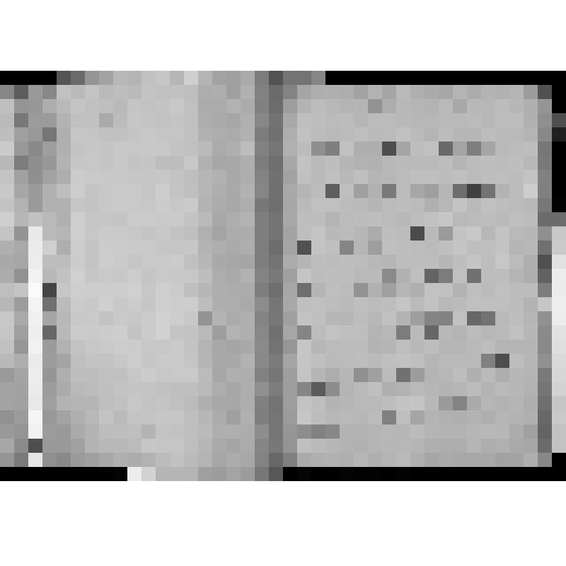 КОПИЯ РАПОРТА