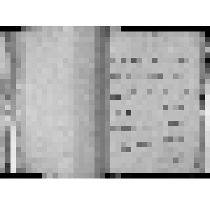 КОПИЯ РАПОРТА