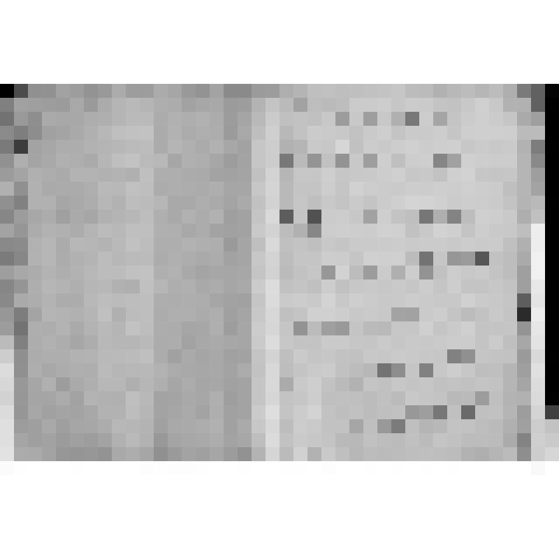 КОПИЯ РАПОРТА