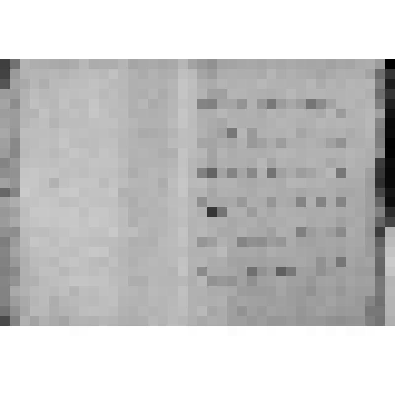 КОПИЯ РАПОРТА