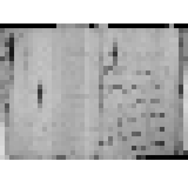 КОПИЯ РАПОРТА