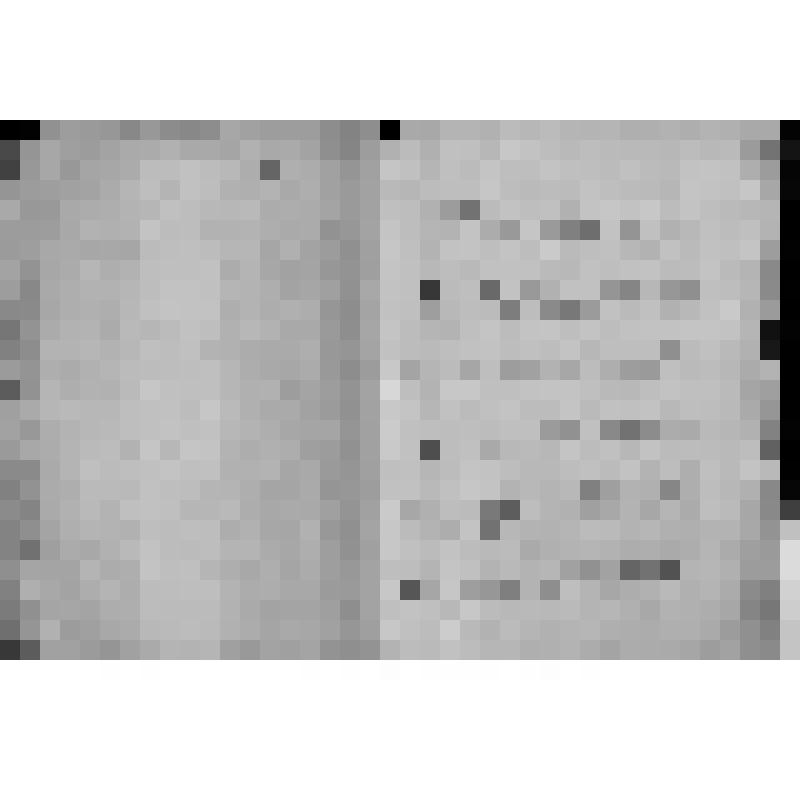 КОПИЯ РАПОРТА