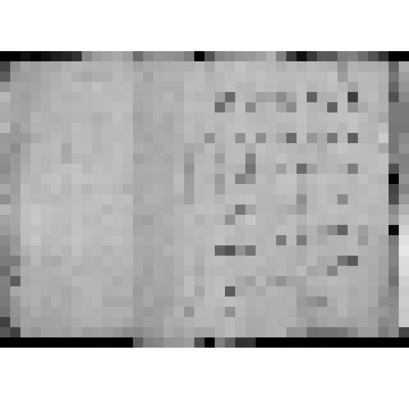 КОПИЯ РАПОРТА