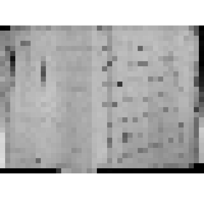 КОПИЯ РАПОРТА