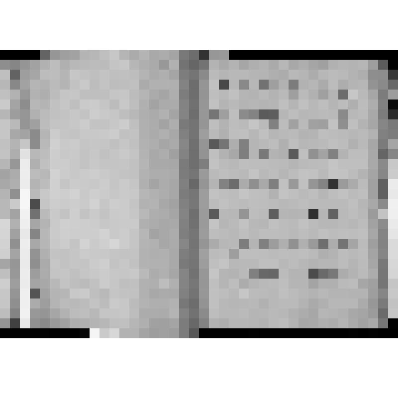 КОПИЯ РАПОРТА