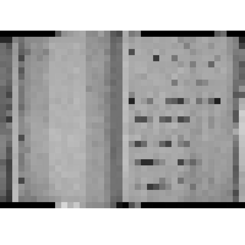 КОПИЯ РАПОРТА