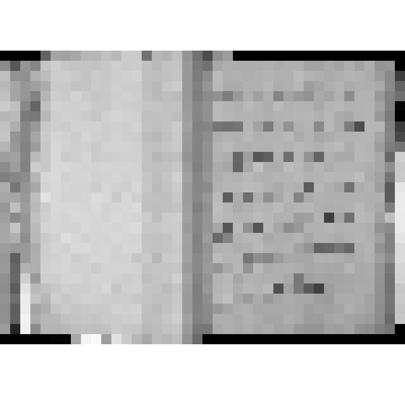 КОПИЯ РАПОРТА