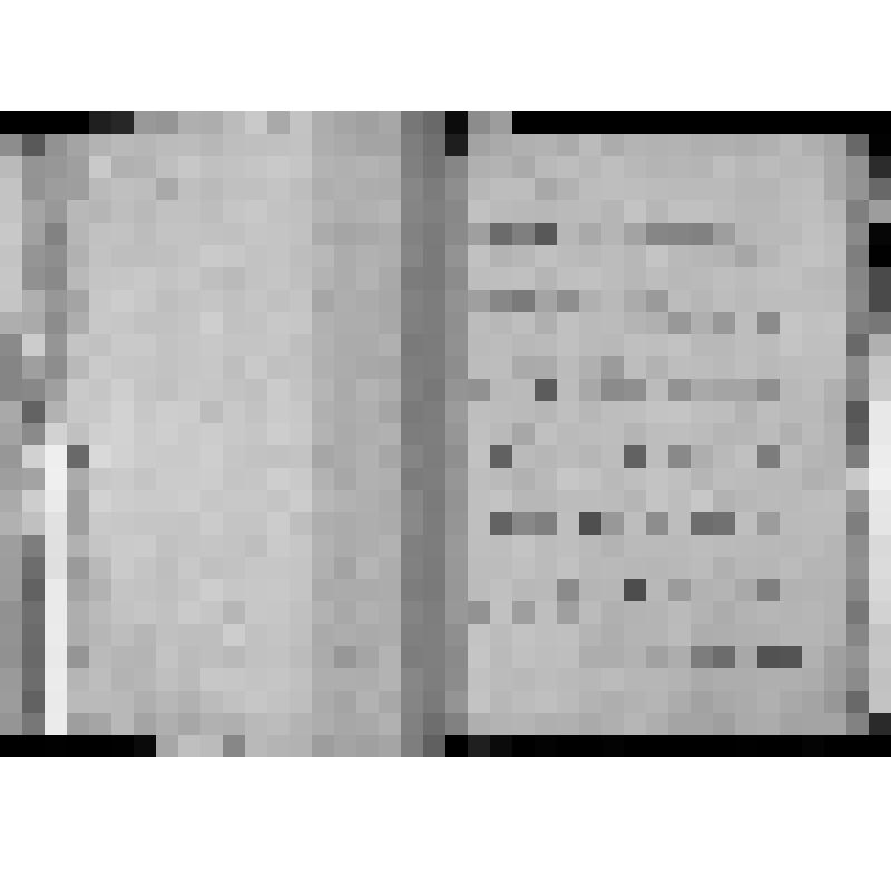 КОПИЯ РАПОРТА