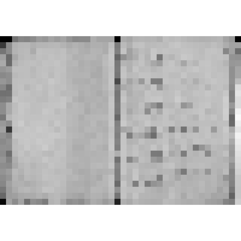 КОПИЯ РАПОРТА