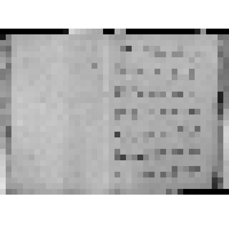 КОПИЯ РАПОРТА