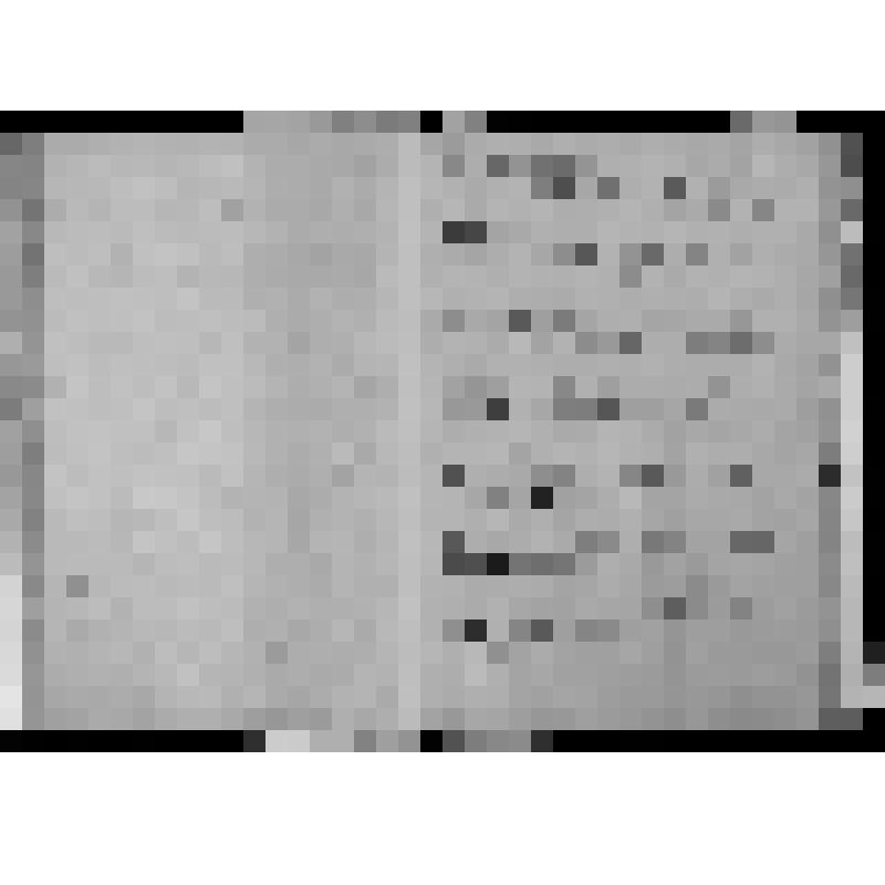 КОПИЯ РАПОРТА